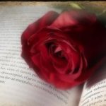 Γιορτάζουμε την άνοιξη…με στίχο, ήχο και ένα λουλούδι!