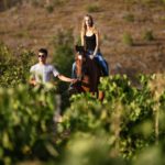 ΟΙΝΟΞΕΝΕΙΑ: Ενθουσίασαν μικρούς και μεγάλους οι έφιππες περιηγήσεις σε αμπελώνες της Αιγιάλειας