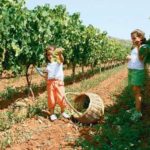 Διαγωνισμός φωτογραφίας “Οινοξένεια 2014”: Δείτε τους τρεις νικητές