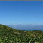 Οινοξένεια 2022- Εκδήλωση στην Άνω Ζήρια την Δευτέρα 29 Αυγούστου zhria