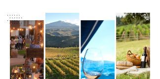 Το Φεστιβάλ «Οινοξένεια» γιορτάζει φέτος 10 χρόνια παρουσίας στην Αιγιάλεια και τα Καλάβρυτα 10xronia-oinoxeneia