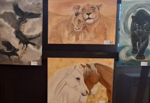 Αίγιο: Εγκαίνια για την έκθεση ζωγραφικής «Nature», της Βέρας Νοβοτσίδου, στο Αρχοντικό Παναγιωτόπουλου nature-6