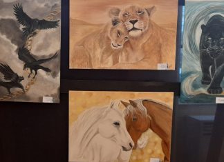 Αίγιο: Εγκαίνια για την έκθεση ζωγραφικής «Nature», της Βέρας Νοβοτσίδου, στο Αρχοντικό Παναγιωτόπουλου nature-6